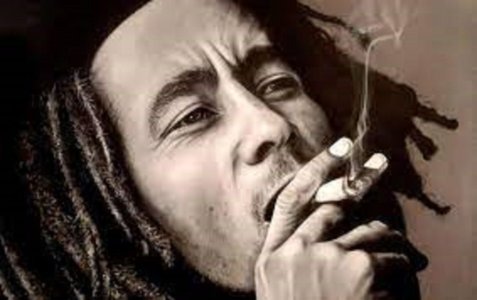 боб.jpg боб.jpg