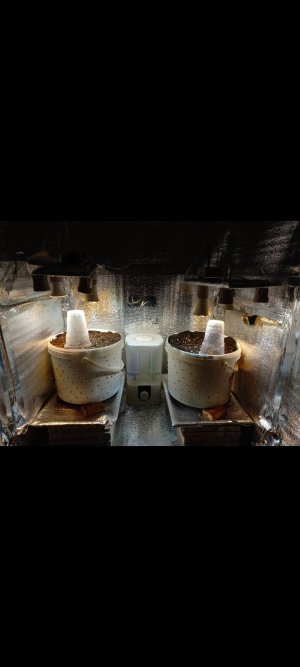 Screenshot_20220212-222112_Gallery.jpg Screenshot_20220212-222112_Gallery.jpg