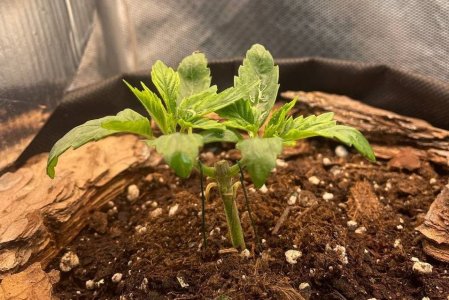 06.02.2022 (2).jpg 06.02.2022 (2).jpg