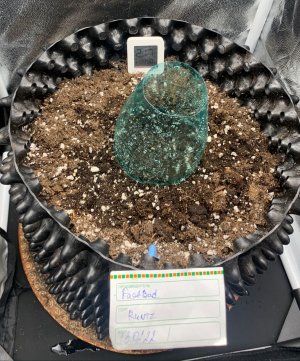 382FE948-8531-435E-94DE-5B7CAC59796C.jpeg 382FE948-8531-435E-94DE-5B7CAC59796C.jpeg