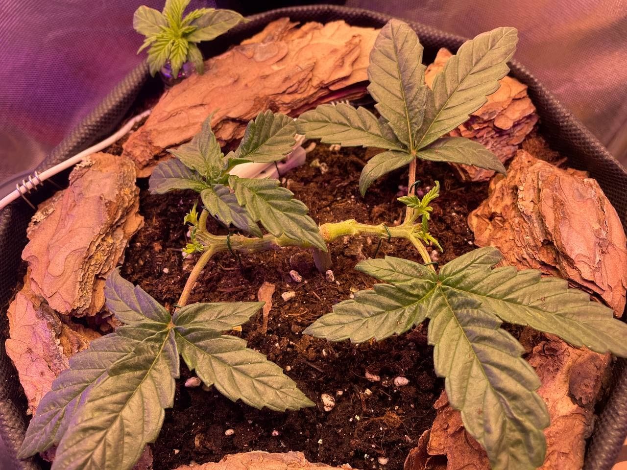 14.02.2022.jpg 14.02.2022.jpg