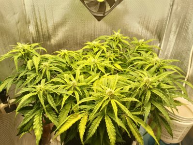 IMG_20240227_124044.jpg IMG_20240227_124044.jpg