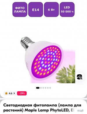 IMG_0446.jpeg IMG_0446.jpeg