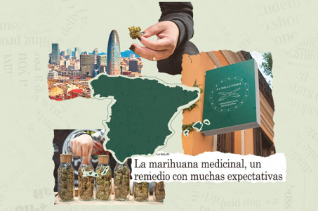 Правовой статус конопли в Испании Правовой статус конопли в Испании