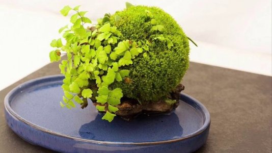 maxresdefault (3).jpg maxresdefault (3).jpg