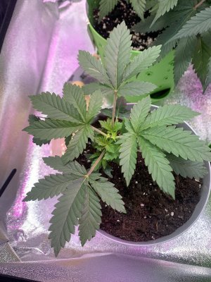 top-top:21.jpg top-top:21.jpg