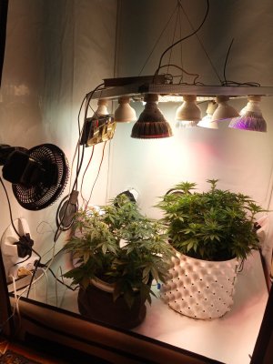 2024-04-23 112725.jpg