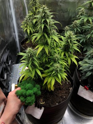 IMAGE 2024-04-24 01:09:58.jpg