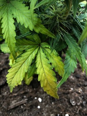 IMAGE 2024-04-24 01:10:11.jpg