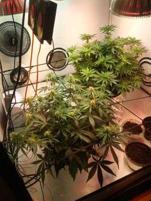 2024-04-27 115930.jpg