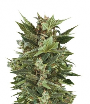 1714660668789.png 1714660668789.png