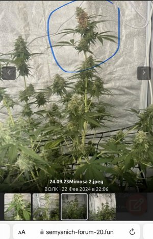 IMG_6654.jpeg IMG_6654.jpeg