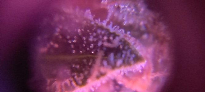 WhatsApp Image 2024-05-18 at 13.34.28.jpeg