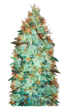 1716642447849.png 1716642447849.png