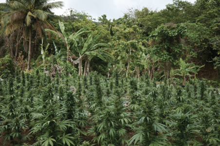 1716642584263.png 1716642584263.png