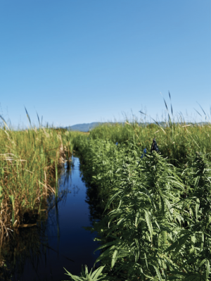 1716642618394.png 1716642618394.png