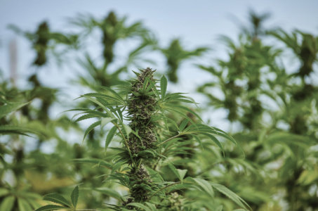 1716642658999.png 1716642658999.png