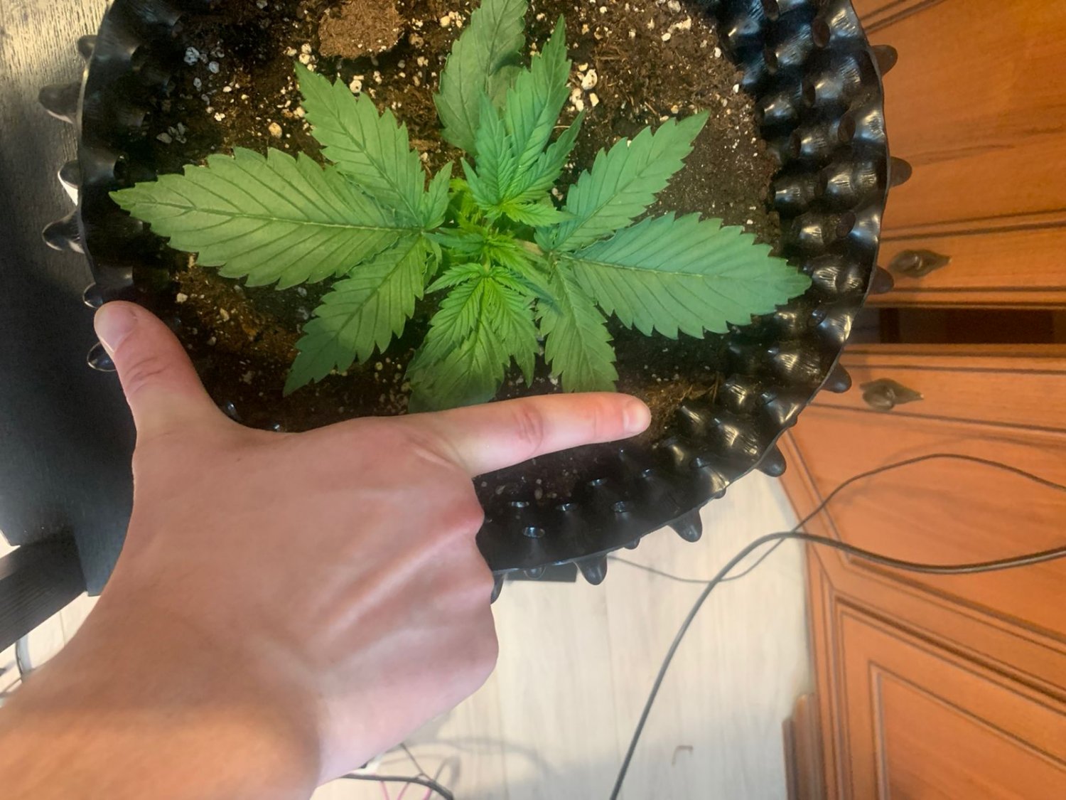 9DDA87FB-4E10-4B6D-B533-B691F32E6F32.jpeg 9DDA87FB-4E10-4B6D-B533-B691F32E6F32.jpeg