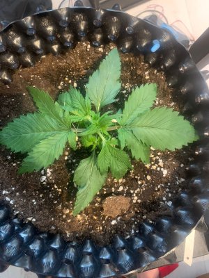 604AAD5A-4F73-432A-95C3-2A896E8B3C2C.jpeg 604AAD5A-4F73-432A-95C3-2A896E8B3C2C.jpeg