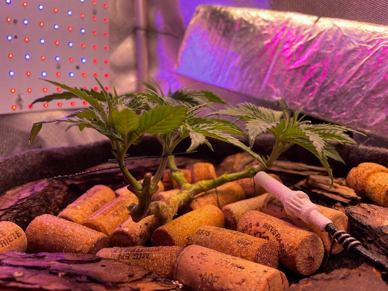 27.02c1.jpg 27.02c1.jpg