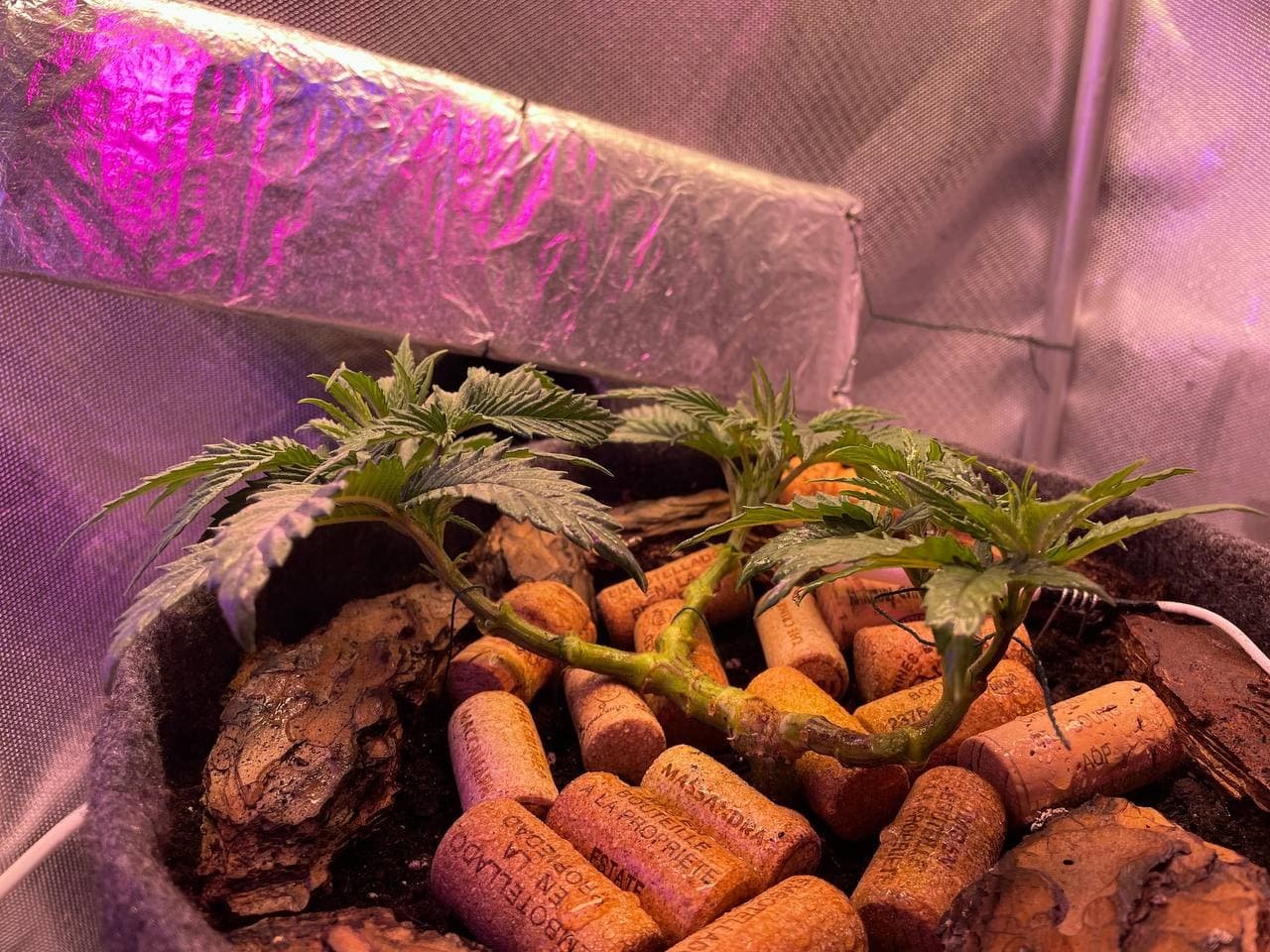 27.02c2.jpg 27.02c2.jpg