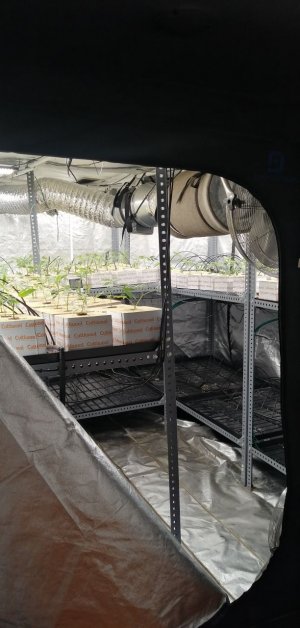 IMG_20220304_211321_095.jpg IMG_20220304_211321_095.jpg