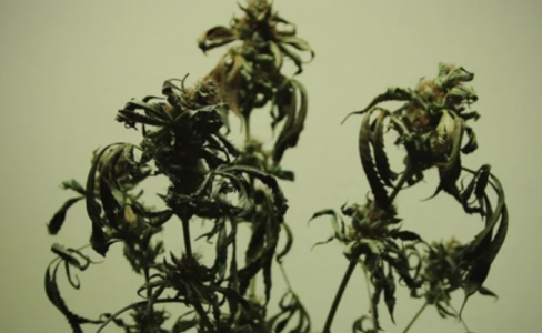 1646737112017.png 1646737112017.png