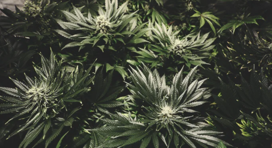 1646737465210.png 1646737465210.png