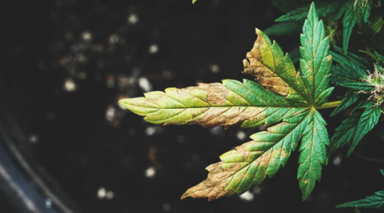 1646737867895.png 1646737867895.png