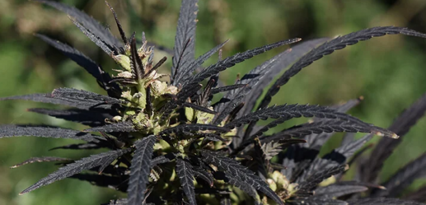 1647200442666.png 1647200442666.png