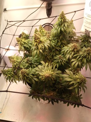 2024-06-07 142001.jpg