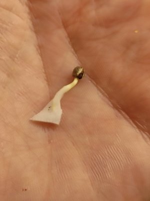 cleaned_IMG20240209132011.jpg cleaned_IMG20240209132011.jpg