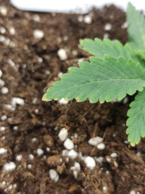 cleaned_IMG20240311124826.jpg cleaned_IMG20240311124826.jpg