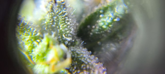 photo1719148012 (5).jpeg