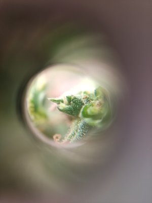 IMG_20240701_024947.jpg IMG_20240701_024947.jpg