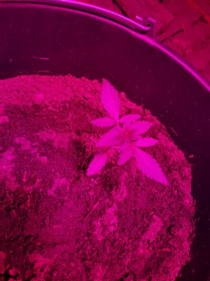 photo_2024-07-02_14-55-04 (2).jpg