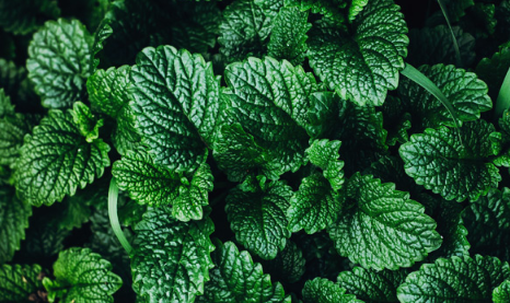 1720709048405.png 1720709048405.png