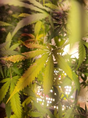 photo_5285027437949869022_y.jpg photo_5285027437949869022_y.jpg