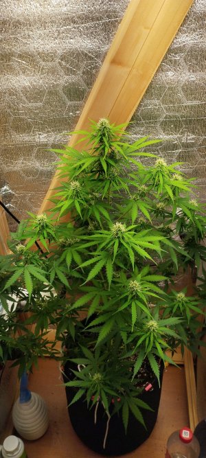 1000020864.jpg 1000020864.jpg