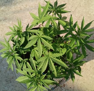 3212321312312312.jpg 3212321312312312.jpg