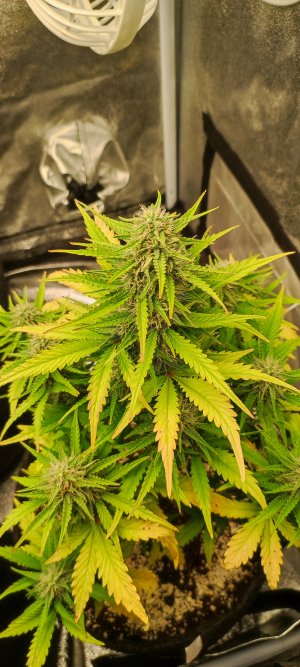 1000006970.jpg 1000006970.jpg