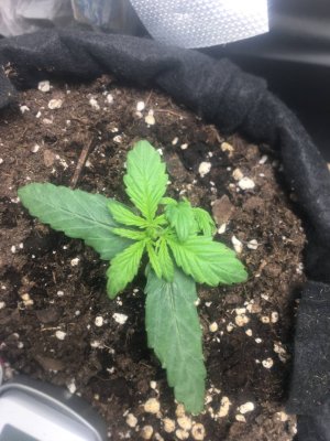 9.10 11 дней.jpg