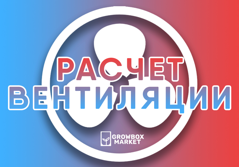 www.growboxmarket.ru